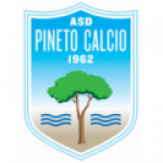 Escudo do Pineto