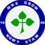 Escudo do Grom Nowy Staw