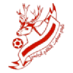 Escudo do Masfut