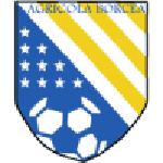 Escudo do Agricola Borcea