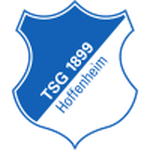 Escudo do Hoffenheim II