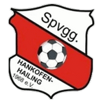 Escudo do Hankofen-Hailing