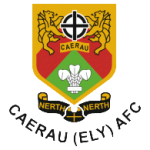 Escudo do Caerau (Ely)