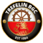 Escudo do Trefelin