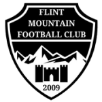 Escudo do Flint Mountain