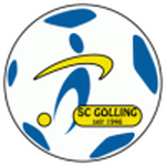 Escudo do Golling
