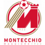 Escudo do Montecchio Maggiore