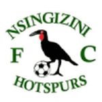 Escudo do Nsingizini Hotspurs