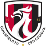 Escudo do Guilsfield