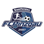 Escudo do Pinzgau Saalfelden
