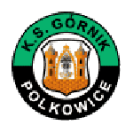 Escudo do Górnik Polkowice