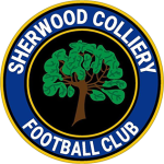 Escudo do Sherwood Colliery