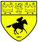 Escudo do Newmarket Town