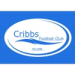 Escudo do Cribbs