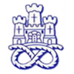 Escudo do Newcastle Town