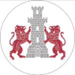 Escudo do Dunărea Turris