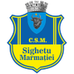 Escudo do Sighetu Marmaţiei