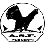 Escudo do Olimpic Zărneşti