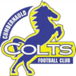 Escudo do Cumbernauld Colts