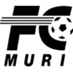 Escudo do Muri