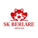 Escudo do Berlare