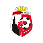 Escudo do Antoing
