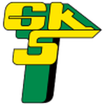 Escudo do Górnik Łęczna W