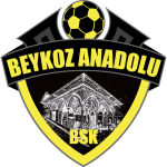 Escudo do Tuzlaspor