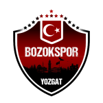 Escudo do Yozgat Bld Bozokspor