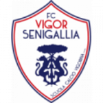 Escudo do Vigor Senigallia