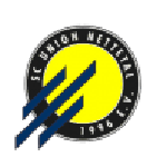 Escudo do Union Nettetal