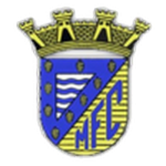 Escudo do Mortágua
