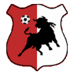 Escudo do Bonyhád Völgység