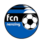 Escudo do Nenzing