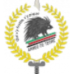 Escudo do Adjidja