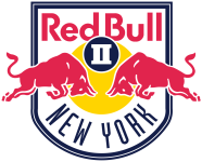 Escudo do New York RB II