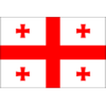 Escudo do Georgia W