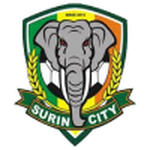 Escudo do Surin