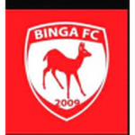 Escudo do Binga