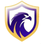 Escudo do Falcon U20