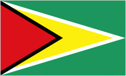 Escudo do Guyana W U17