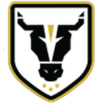 Escudo do Bulls Academy