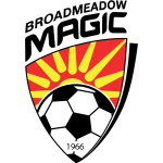 Escudo do Broadmeadow Magic