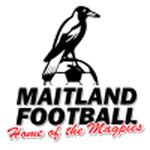 Escudo do Maitland