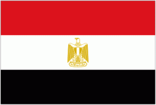 Escudo do Egypt W