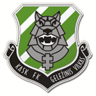 Escudo do Geležinis Vilkas