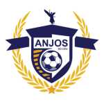 Escudo do Anjos do Céu U20