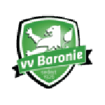 Escudo do Baronie