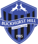 Escudo do Buckhurst Hill