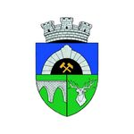 Escudo do Anenii Noi
